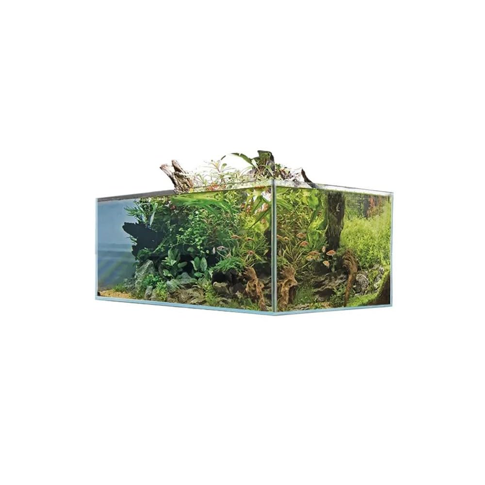 Aquariumline Acquario Shallow Tank Vetro Extrachiaro, Design Rettangolare per Aquascaping e Nano Acquari (60x30x20H)