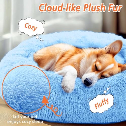 Image of RvPaws Pet Beds for Indoor, Dog Bed for Small & Puppy, Soft Fluffy Donut Cuddler Washable Round Pet Bed for Puppy and Kitten (Blue, 20 Inch, Small)