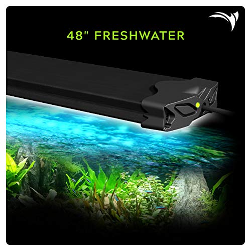 Best Light for Aquarium Plants 2019 Reviews & Guide