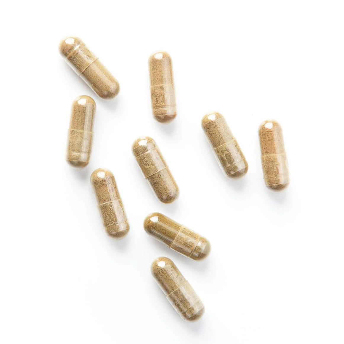 Hericium Erinaceus BIO | Champignon de la Mémoire | Hautement Dosé, 37% Polysaccharides | 120 gélules vegan | Lion’s Mane, Vegan, Sans Additifs | Qualité Supérieure | Fabriqué en France