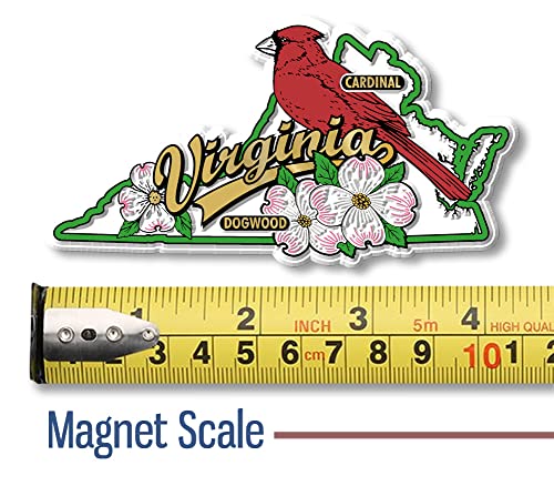 Virginia State Bird and Flower Map Magnet by Classic Magnets, 4.4" x 2.3", Collectible 3D Rubber Vintage-Style Souvenirs and Gifts Made in The USA