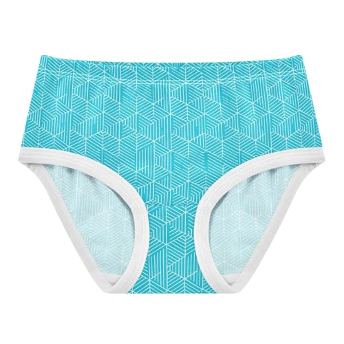 Texture Blue Toddler Girls's Underwear 2T 2302886