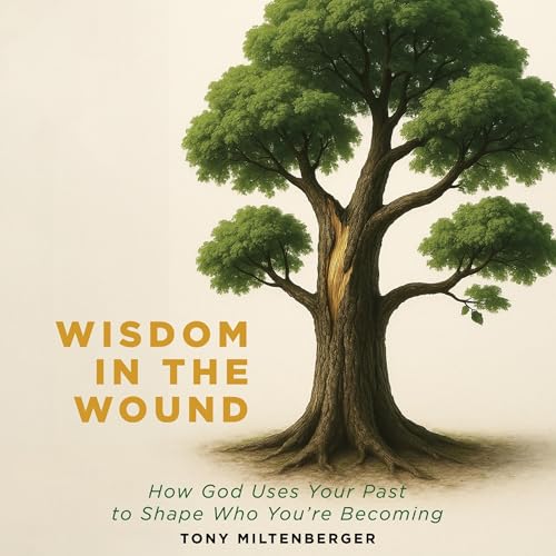 Wisdom in the Wound Audiolivro Por Tony Miltenberger capa