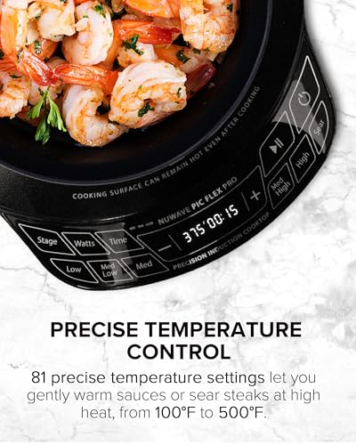 Portable Induction Cooktop Single Burner