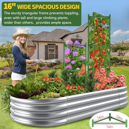 6 Pack Large Tomato Cage for Garden Up to 49" H X 16" W Metal Plant Support Stakes with Clips Triangle Pea Cages Cucumber Trellis for Vegetables Pots Vines Flowers Climbing Plants by OUREST - Used condition - Image 6
