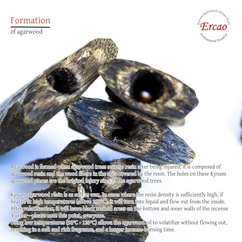 Chinese Natura Kynam Agarwood （Qinan Oud） - Boasts a Distinctly Unique Aroma, Ideal for Home Incense, Meditation & More | Sustainable Harvesting (20g Experience Pack - High Grade - Block)
