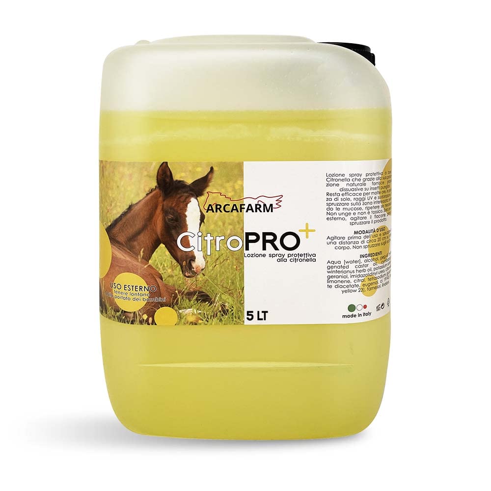 Tanica 5 lt Repellente Naturale alla Citronella per Cavalli Citropro, anti Insetti Protezione Lunga Durata, Lozione Insetti Molesti, 100% Made in Italy