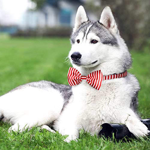 Segarty Dog Neckties and Bow Ties, 30pcs Adjustable Dog Ties and Bowties for Small Puppy Medium Large Boy Girl Dog Cat Pet as Grooming Accessories, Festival Wedding Holiday Tie Gift