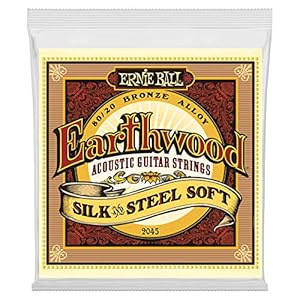 Ernie Ball Earthwood Silk & Steel Saiten