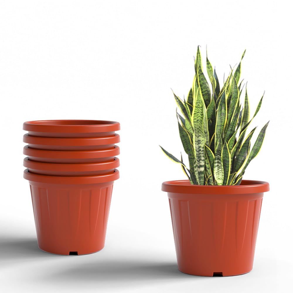 YUCCABE ITALIA 6 Pack White Nursery Planters -29