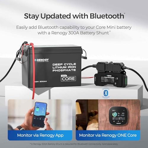 Image of Renogy 12V Lithium Battery 200Ah LiFePO4 Battery, Deep Cycles Rechargeable Batteries 200A BMS, IP65 Waterproof for Solar System, RV, Marine, Solar, Trolling Motor, Home Backup Power 3 Pack