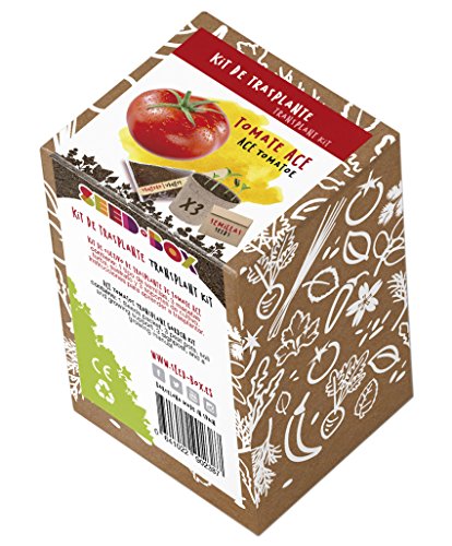 SeedBox KTVHTA Huerto Urbano kit trasplante de tomate ace, 0.7x0.7x9 cm
