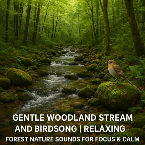 Gentle Woodland Stream and Birdsong | Relaxing Forest Soundscape for Serenity
