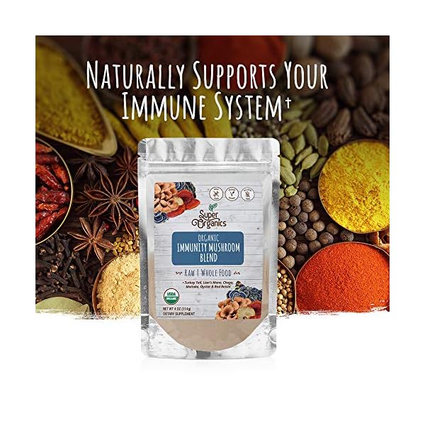 Super-Organics-Immunity-Mushroom-Blend-Turkey-Tail-Lions-Mane-Chaga-More-Organic-Superfood-Powder-Raw-Superfoods-Whole-Food-Supplement--Gluten-Free-Vegan-Non-GMO-4-oz Super Organics Immunity Mushroom Blend | Turkey Tail, Lion’s Mane, Chaga & More | Organic Superfood Powder | Raw Superfoods | Whole Food Supplement – Gluten-Free, Vegan & Non-GMO, 4 oz
