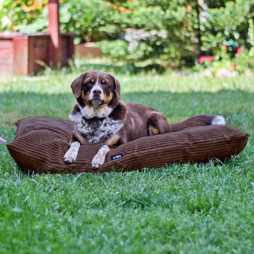 4L Textil Molly Hundekissen flauschig Cord Hundebett Grosse Hunde mit Bezug und Reißverschluss kuscheliges Hundekissen waschbar (80x60 cm, Braun)
