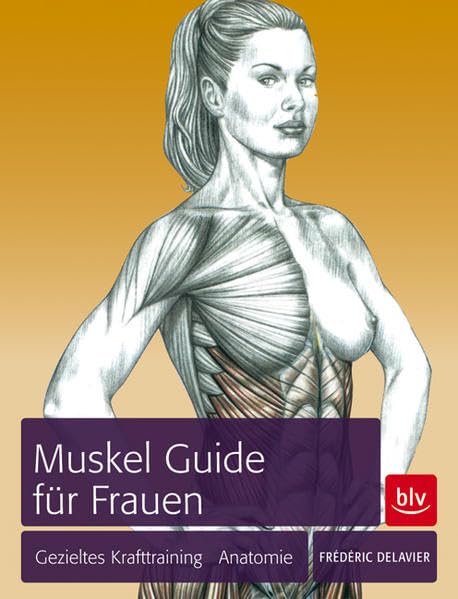Muskel Guide für Frauen: Gezieltes Krafttraining Anatomie