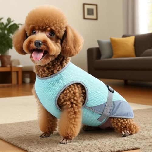 Chaleco ajustable con protección UV y arnés refrescante para perros 4
