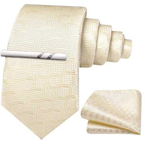 Image of Barry.Wang Boys Ties School Pre-Tied Kids Necktie Handkerchief Clip Set Uniforms Child Ties for 8-14 Years Wedding Party