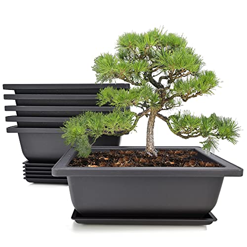 MUZHI 6PCS/Pack Retro Style Basin Plastic Flower Pot 6.5 Inch Flower Bonsai Tree Plant Bowl Nursery...
