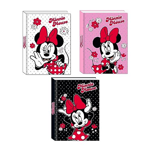 MINNIE DIARIO AGENDA 10 MESI