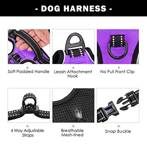Image of PHOEPET No Pull Dog Harnesses for Small Dogs Reflective Adjustable Front Clip Vest with Handle 2 Metal Rings 3 Buckles [Easy to Put on & Take Off](XS, Purple)