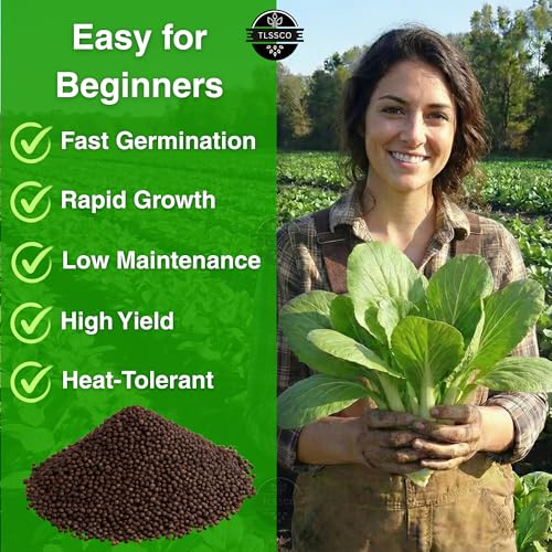 1500+ USA Premium Florida Broadleaf Mustard Seeds for Planting, Non-GMO Seeds – Fast Growing, Heat and Cold Tolerant – High-Yielding, Heirloom Seeds