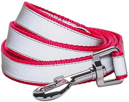 Blueberry Pet Durable Reflective French Pink Nylon Dog Leash 5 ft x 3/4" with Spinning Snap, Medium, Leashes for Dogs