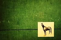 Deep Through the Heart Profiles of Twenty Valiant Horses B000EIJXO2 Book Cover