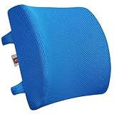 LOVEHOME Lumbar Support Pillow for Chair and Car, Back Support for Office Chair Memory Foam Cushion