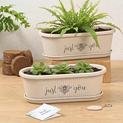 Image of Eha Earth-Friendly Printed Regalia Planters for Home Decor | 12 Inch, Pack of 2 with Growmix | Plant Gifts Made with Rice Husk Biocomposite | Flower Pot for Living Room| Sand Castle