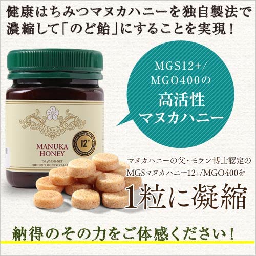 マヌカハニー MGO400 500g 3本　Joy様用 マヌカハニー MGO400 500g 3本Joy様用
