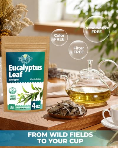 Image of 4 oz Dried Eucalypt Leaves Dry Herbal Tea (Eucalyptus) 113g Long Big Eucalyptus Leaf Herb Hojas De Eucalipto