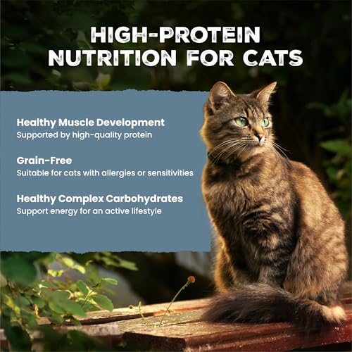 Image of Blue Buffalo Wilderness Chicken & Trout Adult Wet Cat Food, 5.5 oz, 24 ct | Wild Delights Minced in Tasty Gravy, High Protein & Grain-Free Recipe, Supports Energy for an Active Life