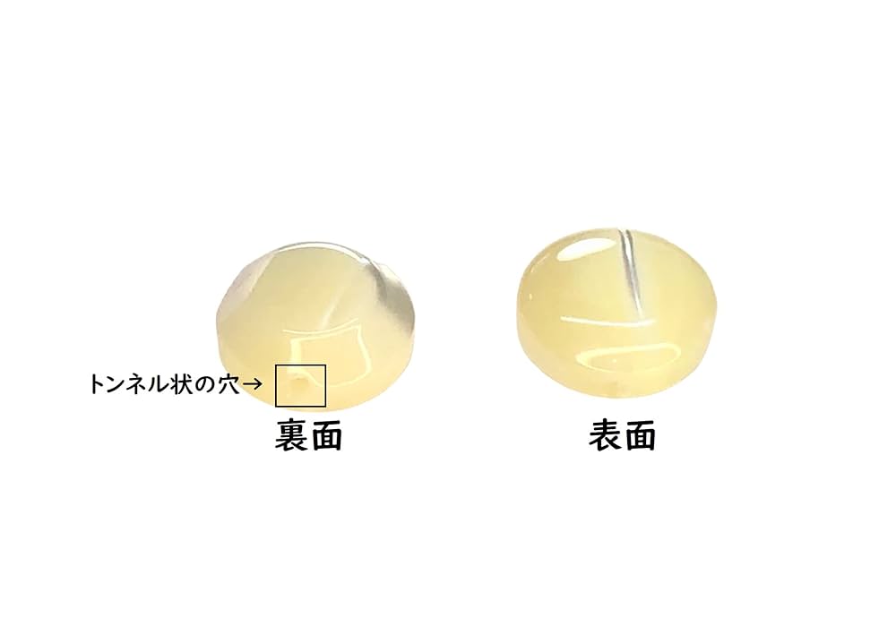 Amazon | 可愛い 小さく コロコロした 貝ボタン 糸の見えない 裏