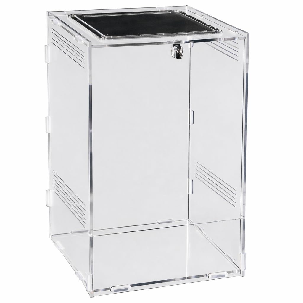 Repto Terra Clear Acrylic Terrarium with Mesh Top & Safety Lock – Compact Reptile & Invertebrate Enclosure, High Clarity, Easy Assembly (19.5 x 18.5 x 29)