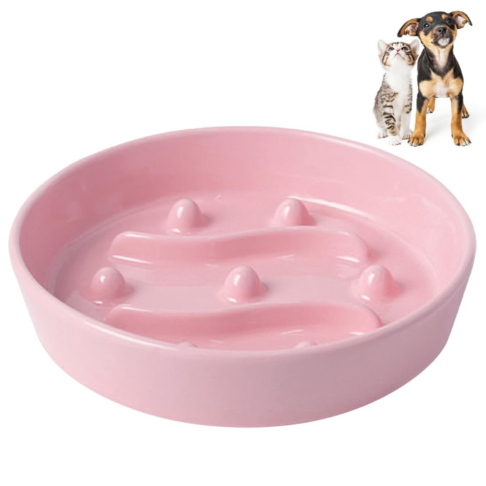 Ciotole Anti Ingozzamento per Cani, Ciotola Gatti in Ceramica con Alimentazione Lenta, Ciotole Cane Antiscivolo, per Animali di Piccola, Media, Taglia