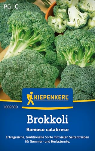 Kiepenkerl Brokkolisamen Ramoso calabrese 1009300 - Ertragreiche Sorte - Inhalt für 75 Pflanzen - Gemüsesamen Samen Gemüse Gemüsepflanzen Saatgut