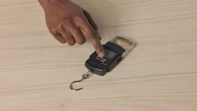 Pèse Bagage 50kg Balance De Peche Numérique Portable Peson Pour Pêche, Pese Valise, Voyage, Usage Domestique