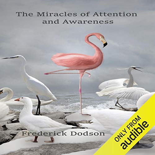 The Miracles of Attention and Awareness : Frederick Dodson episode artwork