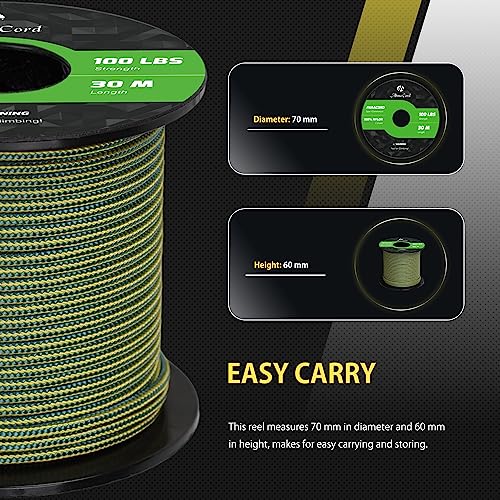 Abma Cord Paracord 100 lbs 2mm 100% Nylon 30M - King Tut, Stripes-king Tut, 30 Meters - Image 2