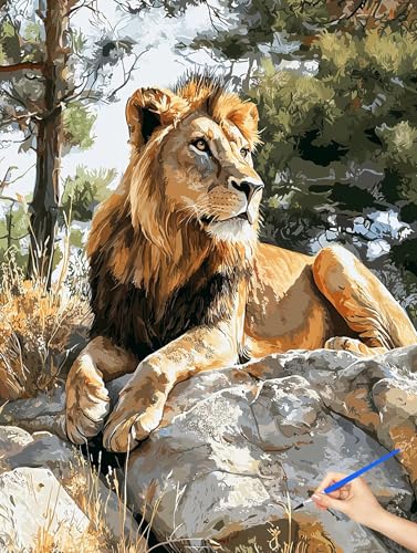 G  Paint by Numbers for Adults CI hG DIYyCgoCio[ l̂߂̃NGCeBuȎ io[yCg  uV/ANyCgLbg q S H?? z[ ItBX