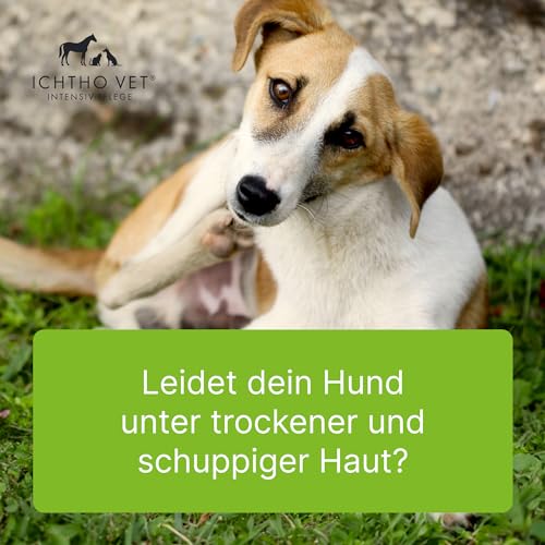ICHTHO Vet Derma-Creme von Heel Vet - Sanfte und gut verträgliche Pflege bei trockenen, rissigen und schuppigen Hautirritationen für Hunde und Katzen | Natürliche Intensivpflege | MADE IN GERMANY