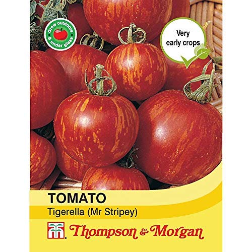 Thompson & Morgan - Verduras - Tomate Tigerella ( Sr Rayas) - 75 Semilla