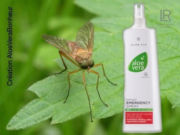 Amazon.com : LR Health&Beauty Aloe-Via Aloe Vera Instant Emergency Body  Lightweight Spray Women Men 400 ml./13.5 fl.oz. : Health & Household