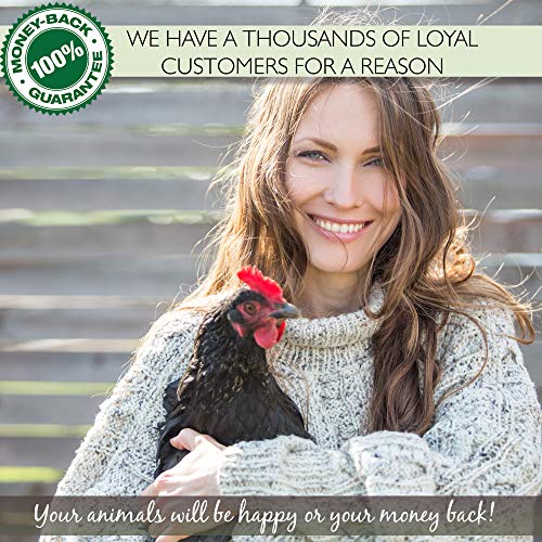 PICKY NEB 100% Non-GMO Dried Mealworms 5 lb - Whole Large Meal Worms Bulk - High-Protein Treats Perfect for Your Chickens, Ducks, Wild Birds