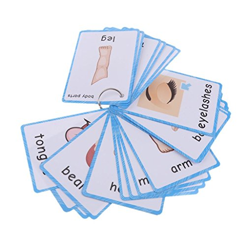 SANCENT 36 pz Parti del Corpo Flashcards | Carte Linguaggio Inglese per Bambini e Adulti | Kids Learning Pocket Cards Giocattoli educativi Inglesi | Giochi Educativi Autismo