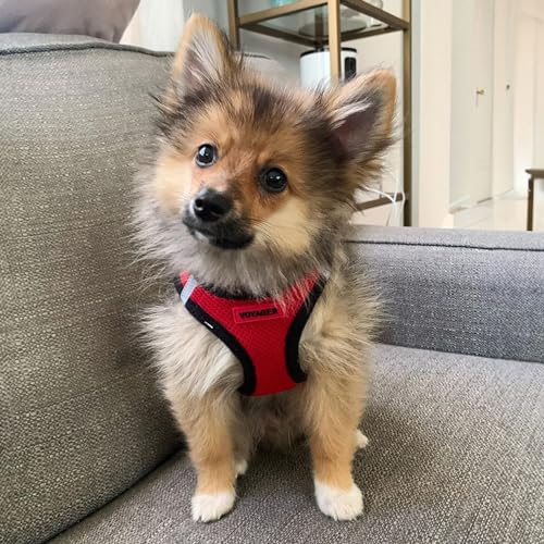 Image of Voyager Step-in Air All Weather Mesh Harness and Reflective 5 ft Dog Leash with Neoprene Handle for Small, Medium and Large Breed Puppies by Best Pet Supplies - Red Base, XS
