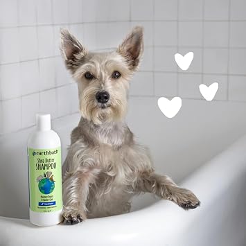 earthbath Ultra-Moisturizing Shea Butter Shampoo, Vegan, 16 Oz (1 Pack) | Dog & Cat Shampoo, Plant-Based, Cruelty-Free, Gluten-Free, Non-GMO, Made in USA, Avocado and Calendula