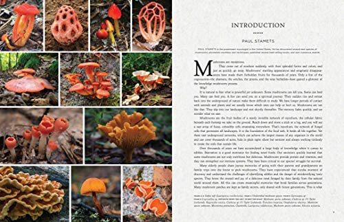 Fantastic Fungi: Expanding Consciousness, Alternative Healing, Environmental Impact // Official Book of Smash Hit… - Image 4
