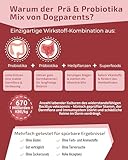 Prä & Probiotika Hund [MADE IN GERMANY, ZUCKERFREI & LABORGEPRÜFT] Darmkur mit 670 Mrd. KBE & Präbiotika – stärkt Darmflora & Verdauung – ideal nach Wurmkur, Grasfressen & Sodbrennen (180g (1er Pack))